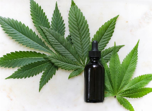 MS und medizinisches Cannabis: Welchen Gebrauch haben die Patienten laut Gesetzgebung?