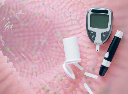 Diabetes und Darm: Wie beeinflusst die Darmflora den Blutzuckerspiegel und die Insulinsensitivität?