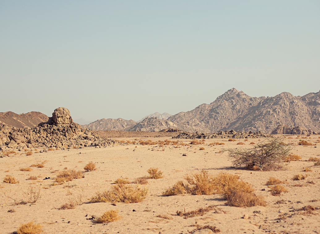 Wenn die geografische Lage über Ihre Gesundheit entscheidet: Das Leben mit einer seltenen Krankheit fernab von Spezialkliniken 