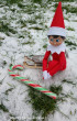 avatar Teilzeit-Elf